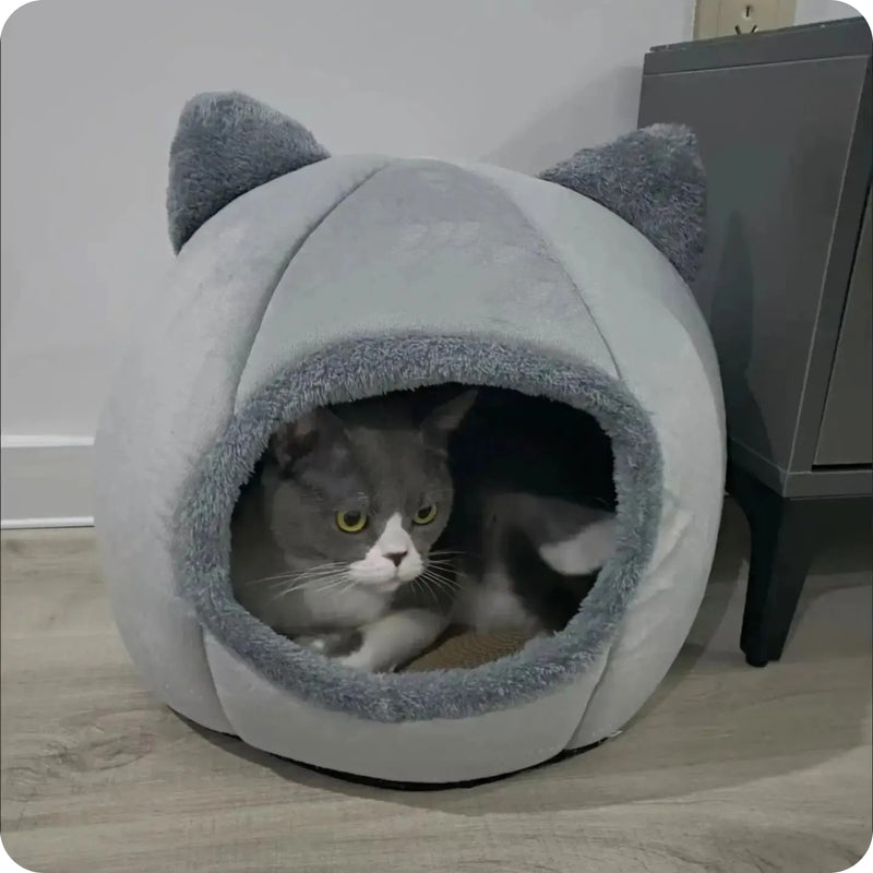 Casinha de Caverna para Gatos e Cães Pequenos - Confortável e Perfeita para Dormir